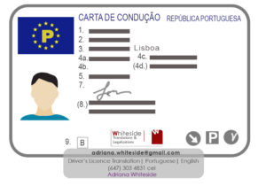 Official Portuguese to English Driver's Licence Translations