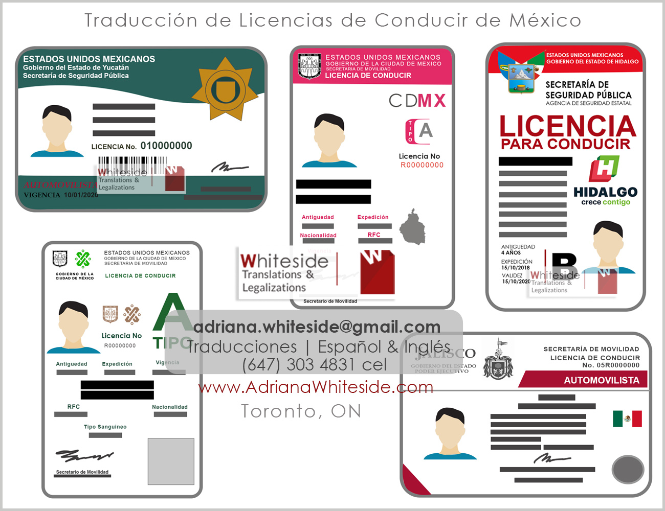 Traducción de Licencia de Conducir de México